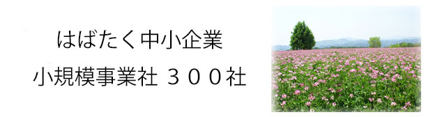 はばたく中小企業・小規模事業者300社