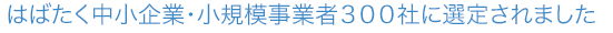 はばたく中小企業・小規模事業者300社